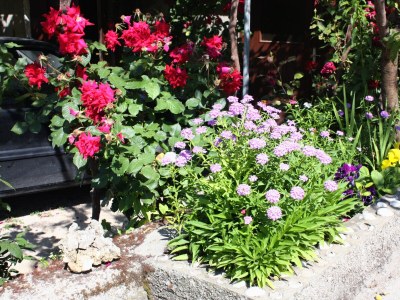 Apartment One bedroom apartment with terrace and sea view Supetarska Draga - Donja, Rab A-4981-b - Outdoor photo 5