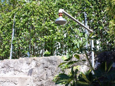 Apartment One bedroom apartment with terrace and sea view Supetarska Draga - Donja, Rab A-4981-b - Outdoor photo 6