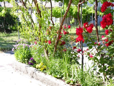 Apartment One bedroom apartment with terrace and sea view Supetarska Draga - Donja, Rab A-4981-b - Outdoor photo 8