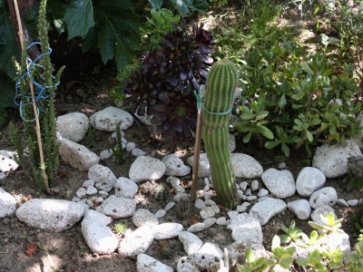 Apartment One bedroom apartment with terrace and sea view Supetarska Draga - Donja, Rab A-4981-b - Outdoor photo 9