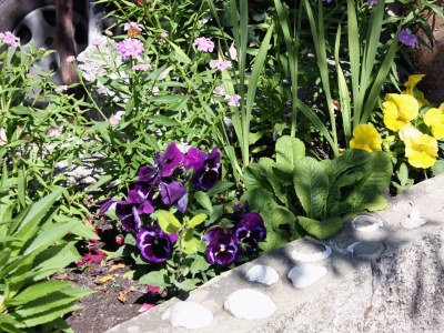 Apartment One bedroom apartment with terrace and sea view Supetarska Draga - Donja, Rab A-4981-b - Outdoor photo 10