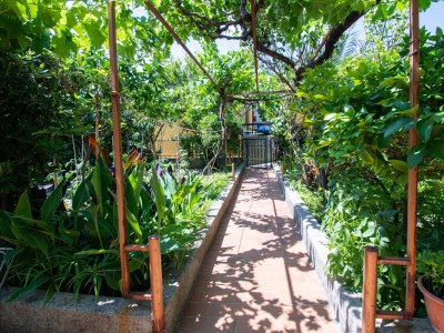 Apartment One bedroom apartment with terrace Barbat, Rab A-4977-b - Outdoor photo 6