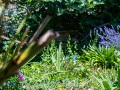 Apartment One bedroom apartment with terrace Barbat, Rab A-4977-b - Outdoor photo 7