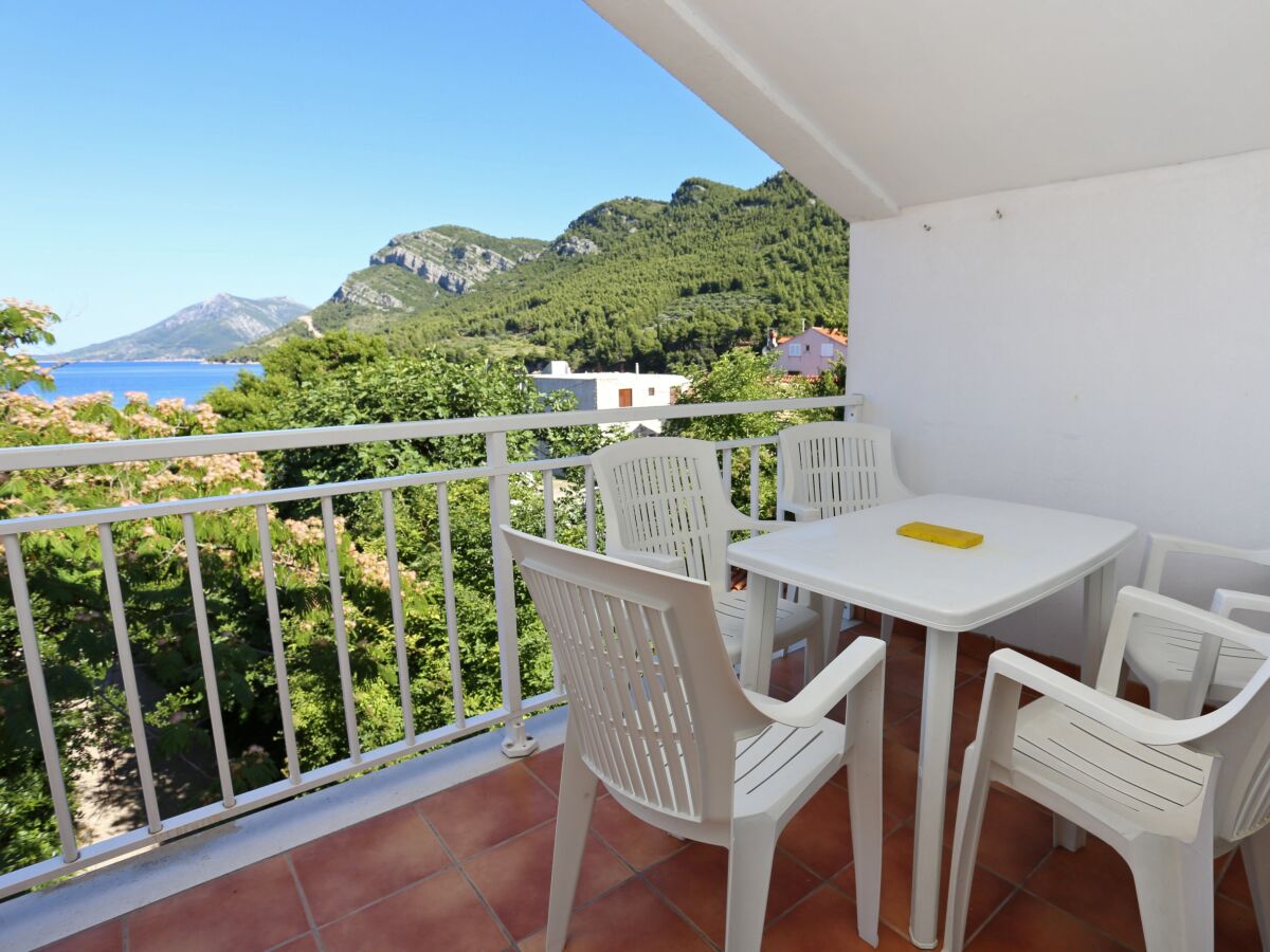 Apartment One bedroom apartment with terrace and sea view Žuljana, Pelješac A-4576-a