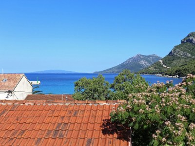 Apartment One bedroom apartment with terrace and sea view Žuljana, Pelješac A-4576-a - Outdoor photo 19