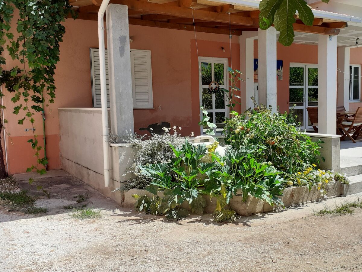 Apartment Studio flat with balcony Žuljana, Pelješac AS-4576-b - Outdoor photo 4