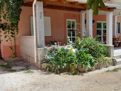Apartment Studio flat with balcony Žuljana, Pelješac AS-4576-b - Outdoor photo 4