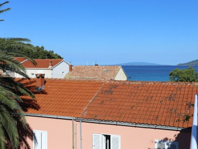 Apartment Studio flat with balcony and sea view Žuljana, Pelješac AS-4576-c - Outdoor photo 10