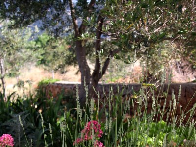 Apartment Two bedroom apartment with balcony and sea view Barbat, Rab A-4951-b - Outdoor photo 10