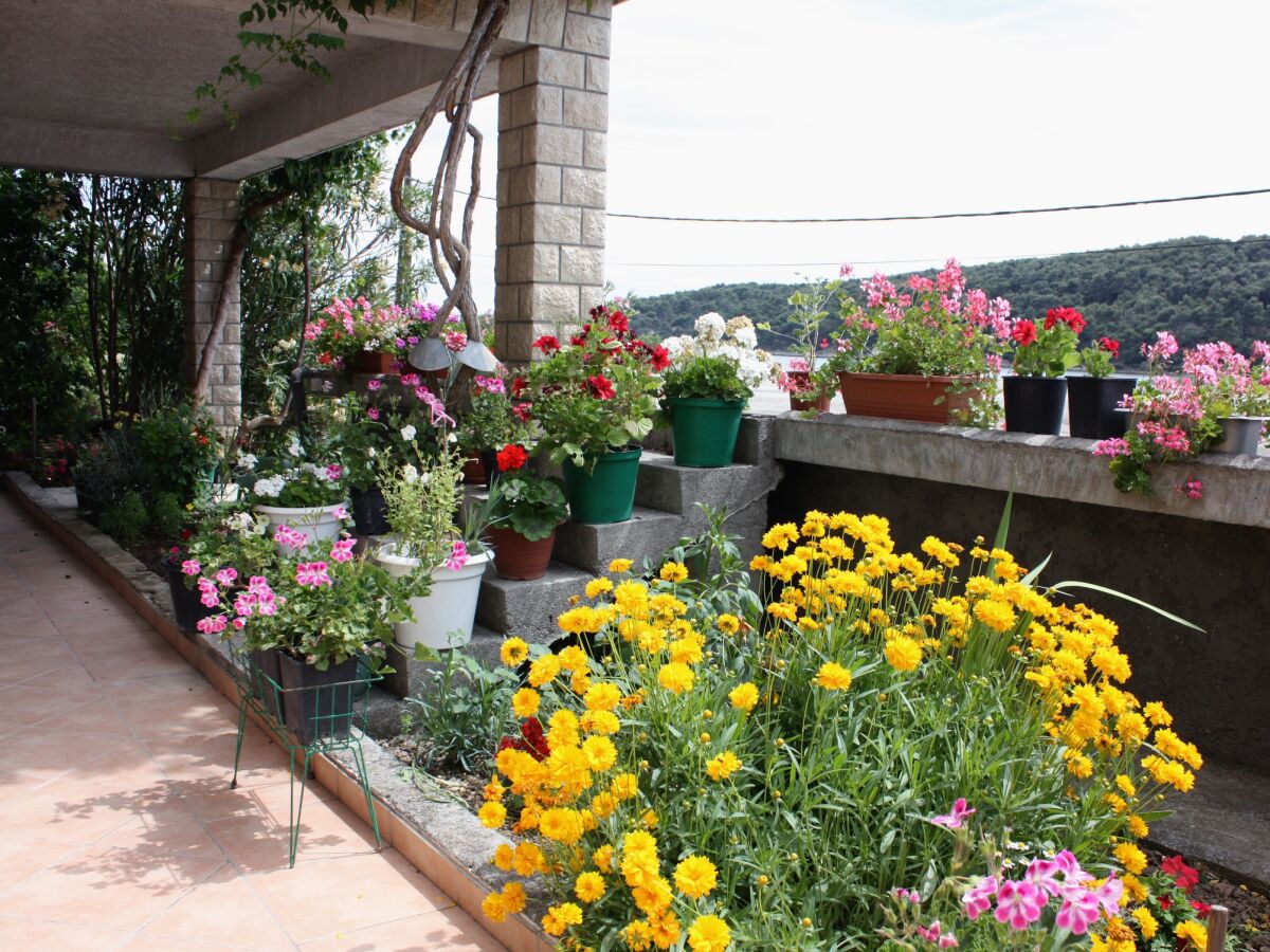 Apartment One bedroom apartment with terrace and sea view Kampor, Rab A-4984-b