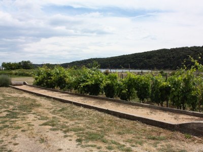 Apartment One bedroom apartment with terrace and sea view Kampor, Rab A-4984-b - Outdoor photo 5