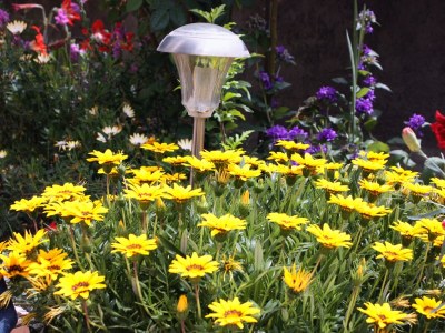 Apartment One bedroom apartment with terrace and sea view Kampor, Rab A-4984-b - Outdoor photo 6