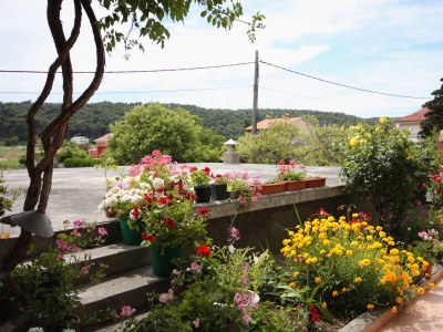 Apartment One bedroom apartment with terrace and sea view Kampor, Rab A-4984-b - Outdoor photo 18