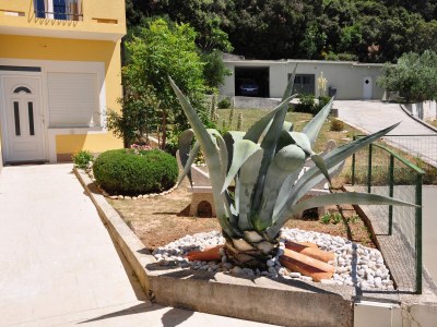 Apartment One bedroom apartment with terrace and sea view Supetarska Draga - Gornja, Rab A-5055-a - Outdoor photo 4