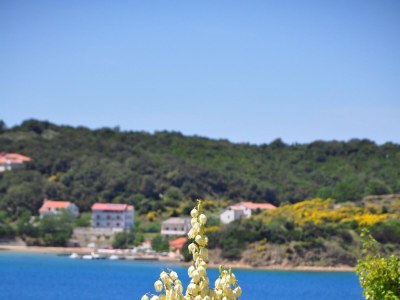 Apartment Studio flat with terrace and sea view Supetarska Draga - Gornja, Rab AS-5055-a - Outdoor photo 5