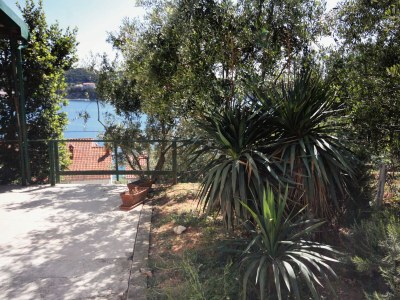 Apartment Studio flat with terrace and sea view Supetarska Draga - Gornja, Rab AS-5055-a - Outdoor photo 19