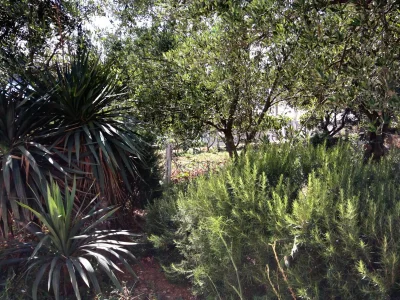 Apartment Studio flat with terrace and sea view Supetarska Draga - Gornja, Rab AS-5055-a - Outdoor photo 20