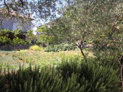 Apartment Studio flat with terrace and sea view Supetarska Draga - Gornja, Rab AS-5055-a - Outdoor photo 21