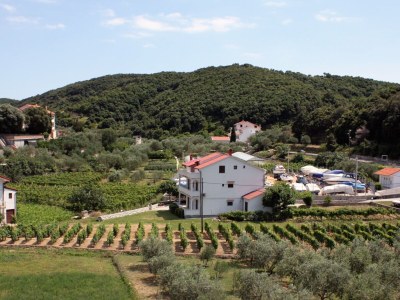 Apartment Two bedroom apartment with terrace and sea view Supetarska Draga - Donja, Rab A-5033-a - Outdoor photo 43