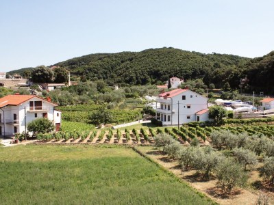 Holiday room with terrace and sea view Supetarska Draga - Donja, Rab S-5033-c - Outdoor photo 27