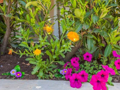 Apartment Two bedroom apartment with terrace Dubrovnik A-4732-c - Outdoor photo 16