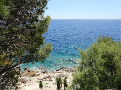 Apartment Two bedroom apartment near beach Dingač - Potočine, Pelješac A-4533-a - Outdoor photo 30