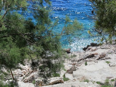 Apartment Studio flat near beach Dingač - Potočine, Pelješac AS-4533-a - Outdoor photo 10