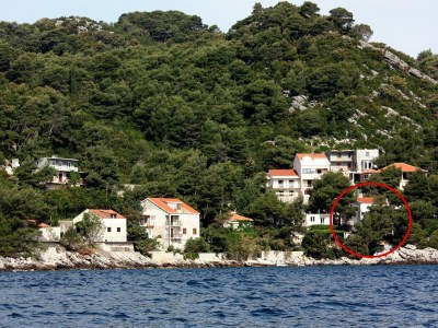 Holiday room with balcony and sea view Sobra, Mljet S-4888-a in Babino Polje - Holiday room