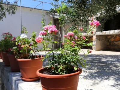 Apartment Studio flat near beach Dingač - Potočine, Pelješac AS-4533-b - Outdoor photo 8