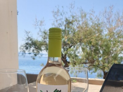 Apartment Studio flat near beach Dingač - Potočine, Pelješac AS-4533-b - Outdoor photo 23