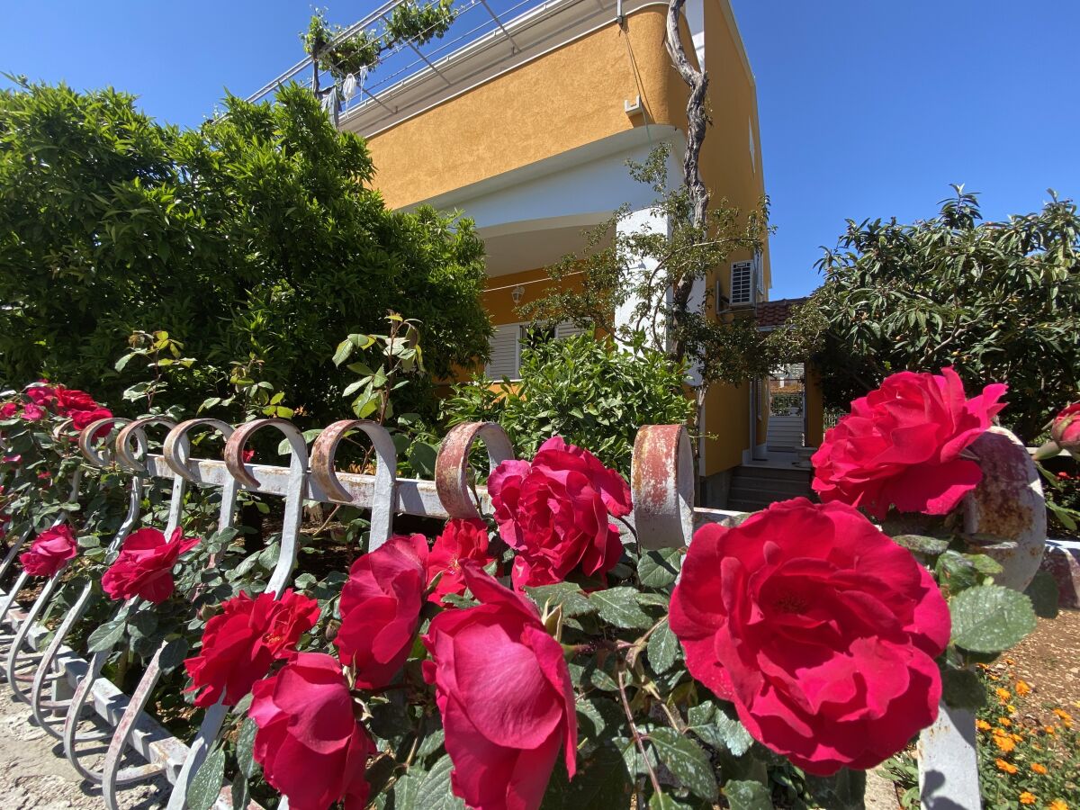 Apartment Two bedroom apartment with terrace Orebić, Pelješac A-4527-a