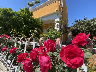 Apartment Two bedroom apartment with terrace Orebić, Pelješac A-4527-a in Orebic - Apartment