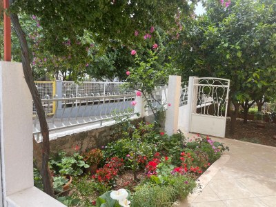 Apartment Two bedroom apartment with terrace Orebić, Pelješac A-4527-a - Outdoor photo 6