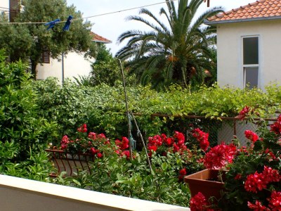 Apartment Two bedroom apartment with terrace Orebić, Pelješac A-4527-a - Outdoor photo 31