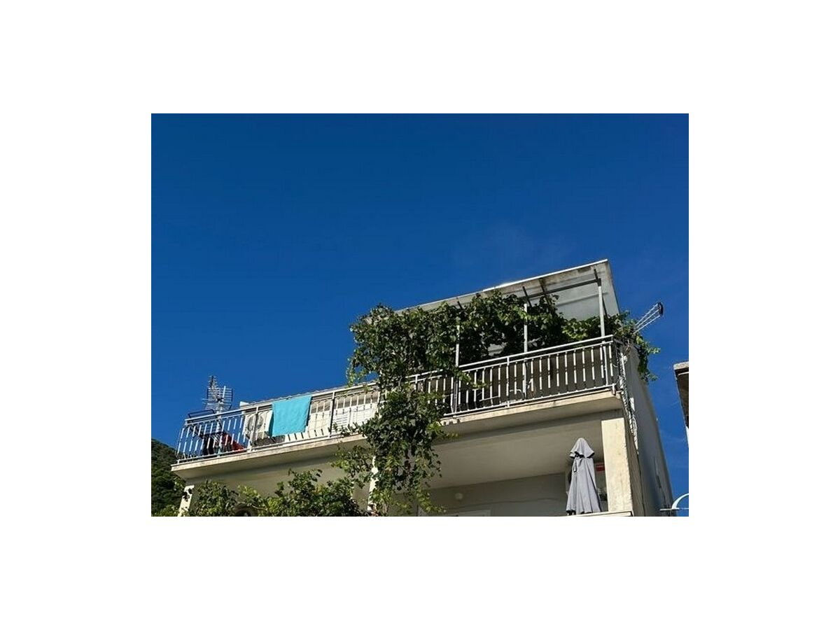 Holiday room with terrace and sea view Sobra, Mljet S-4888-f