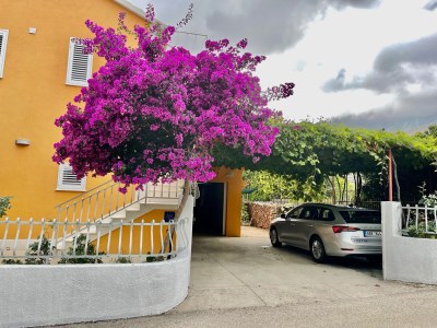 Apartment One bedroom apartment with terrace Orebić, Pelješac A-4527-b - Outdoor photo 15