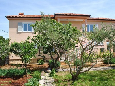 Apartment One bedroom apartment near beach Ugljan A-829-a - Outdoor photo 4