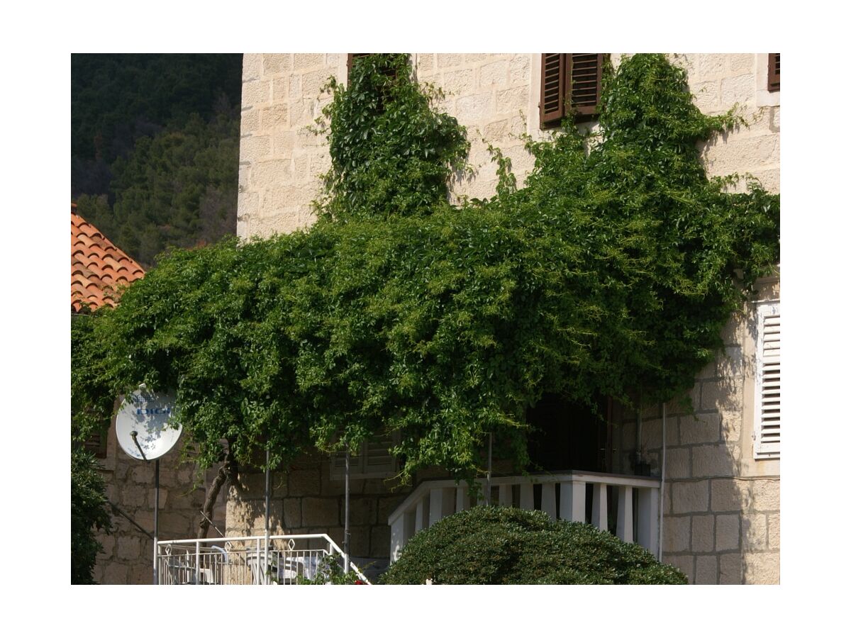 Apartment Studio flat near beach Trstenik, Pelješac AS-4511-a - Outdoor photo 4