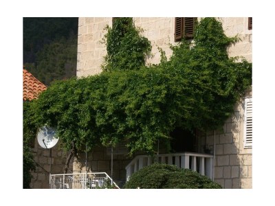 Apartment Studio flat near beach Trstenik, Pelješac AS-4511-a - Outdoor photo 4