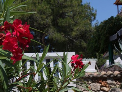 Apartment One bedroom apartment near beach Murter A-5125-b - Outdoor photo 6