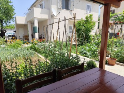 Apartment One bedroom apartment with terrace Murter A-5089-c - Outdoor photo 15