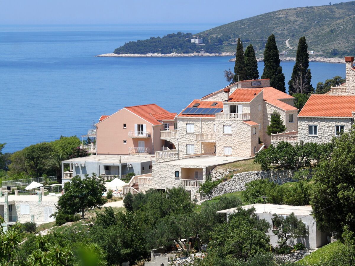 Apartment Studio flat with terrace and sea view Soline, Dubrovnik AS-4762-c - Outdoor photo 4