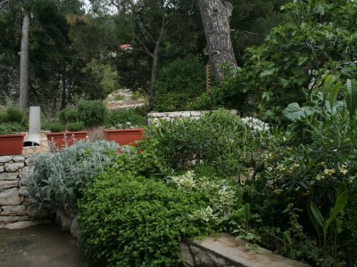 Apartment Two bedroom apartment near beach Prižba, Korčula A-4484-b - Outdoor photo 7