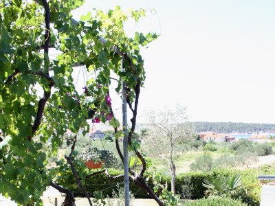 Holiday room with terrace and sea view Barbat, Rab S-5070-a - Outdoor photo 9