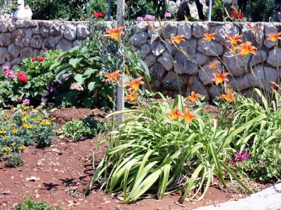 Holiday room with terrace and sea view Barbat, Rab S-5070-a - Outdoor photo 13