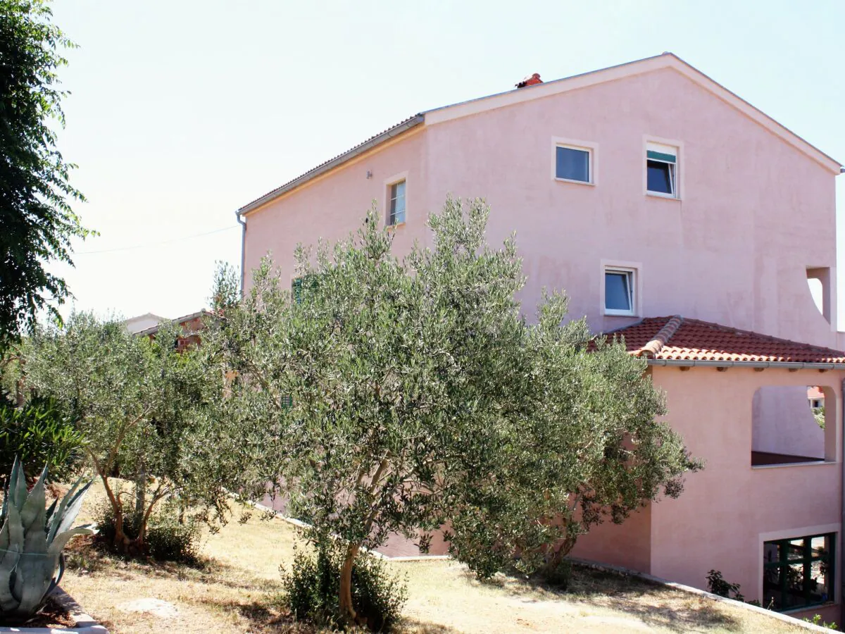 Holiday room (pet friendly) Barbat, Rab S-5070-c - Outdoor photo 2