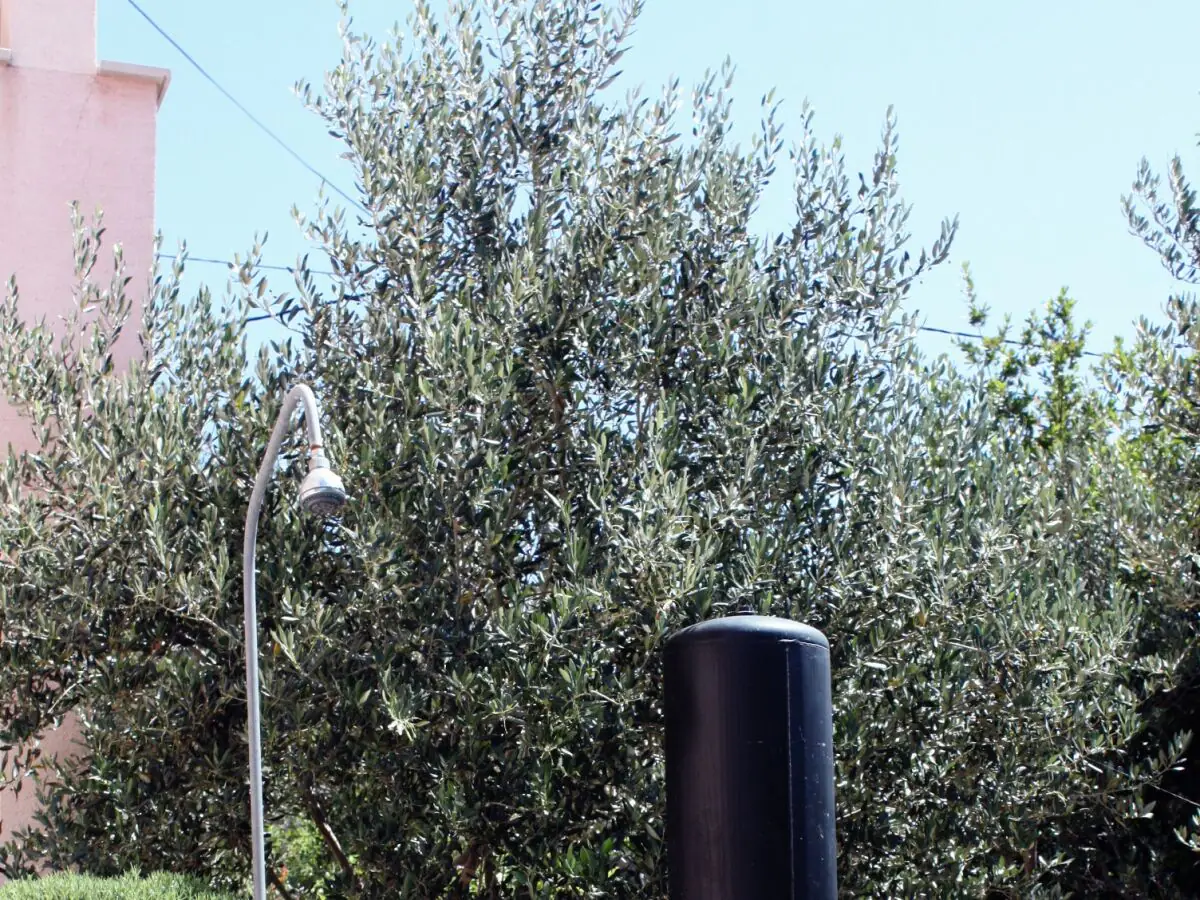 Holiday room (pet friendly) Barbat, Rab S-5070-c - Outdoor photo 5