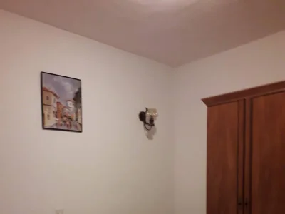 Holiday room (pet friendly) Barbat, Rab S-5070-c - Outdoor photo 16