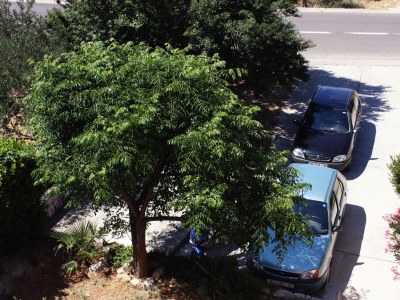 Holiday room with terrace and sea view Barbat, Rab S-5070-e - Outdoor photo 15