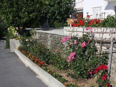 Apartment Two bedroom apartment with air-conditioning Kampor, Rab A-5059-b - Outdoor photo 6